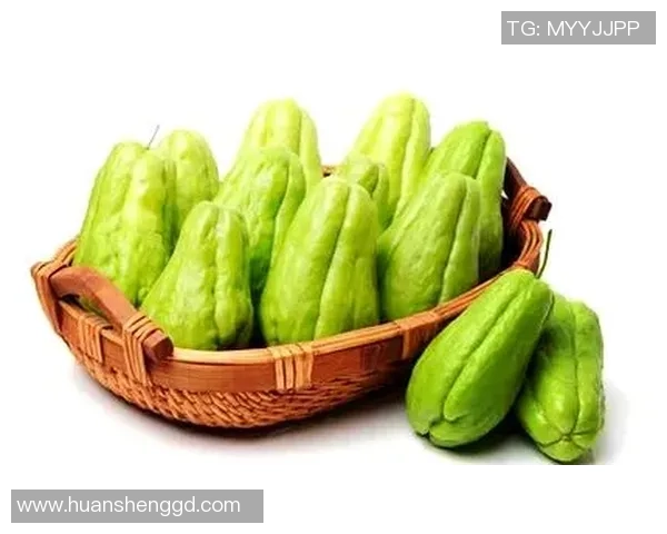 探索足球素菜的美味世界与健康理念，助力绿色饮食新风尚